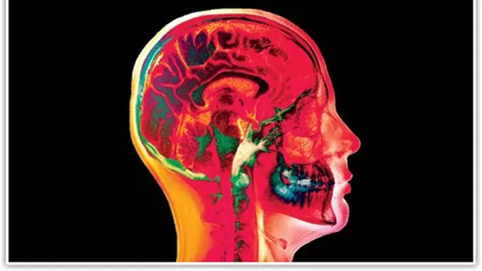 5 Fakta Otak Manusia yang Bikin Kamu Merasa Istimewa Sedunia