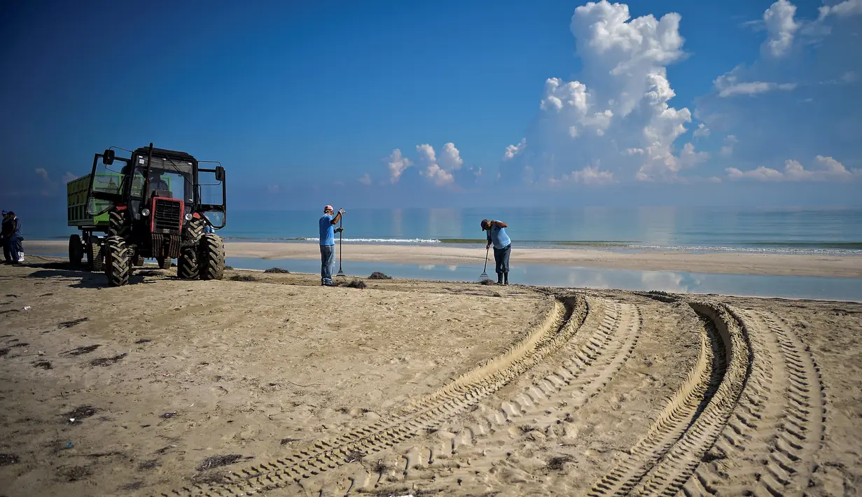 Para pekerja dengan mengenakan masker membersihkan pantai di Havana pada Senin (15/6/2020). Kuba akan menguji semua pelancong untuk Covid-19 dan membatasi kontak mereka dengan penduduk setempat ketika perbatasan dibuka kembali untuk turis asing. (Yamil LAGE / AFP)