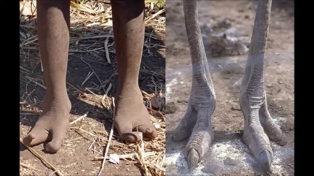 Suku Vadoma di Zimbabwe