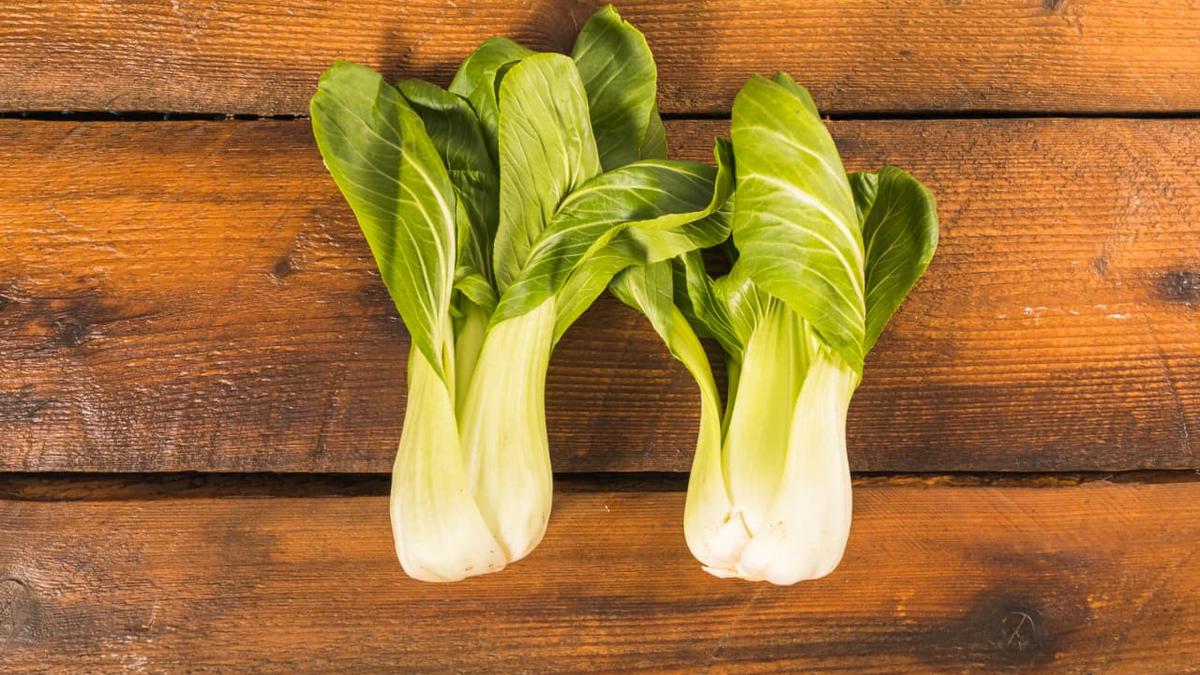 Tips Menanam Pakcoy untuk Pemula, Cara Cepat Panen dan Anti Gagal