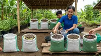5 Ide Ternak Belut dalam Karung untuk Pemula yang Minim Modal, Praktis dan Mudah Dicoba