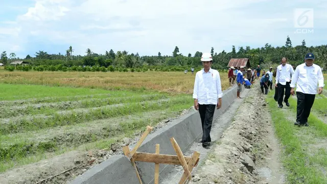 Lewat Padat Karya Tunai, Jokowi Berharap Daya Beli Masyarakat Meningkat
