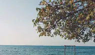 Heboh Pulau Menjangan Kecil Dijual Rp 500 Miliar, Ini Faktanya