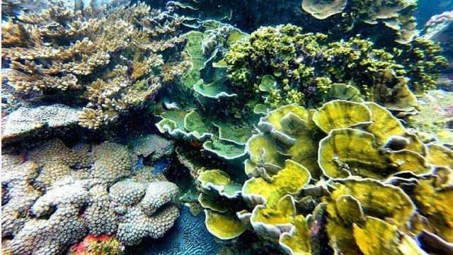 [reservasi]pantai wedi ombo