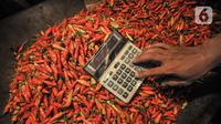 Pedagang menghitung menggunakan kalkulatr di atas tumpukan cabai rawit yang dijual di Pasar Induk Kramat Jati, Jakarta Timur, Kamis (2/6/2022). Harga cabai rawit hijau naik menjadi Rp 55.000 dari harga sebelumnya Rp 45.000 per kilogram. (merdeka.com/Iqbal S Nugroho)