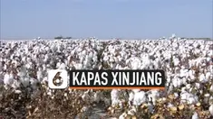THUMBNAIL KAPAS