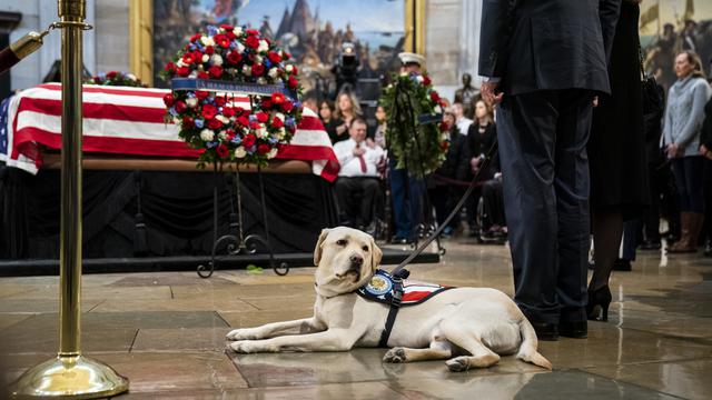 Kesetiaan Sully, Anjing HW Bush Dampingi Tuannya di Depan Peti