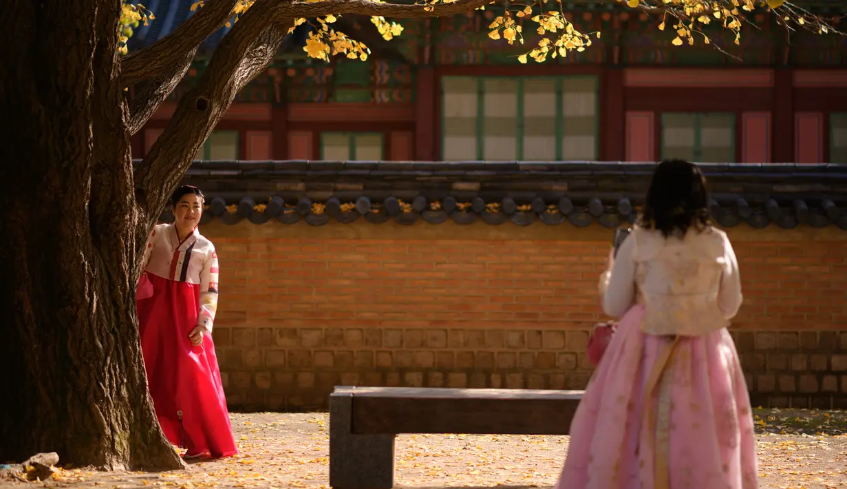 Seorang wanita berpose saat difoto di bawah pohon ginkgo di istana Gyeongbokgung di Seoul (31/10). -Pohon ginkgo secara luas dibudidayakan dan diperkenalkan pada awal sejarah manusia. (AFP Photo/Ed Jones)