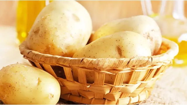 Courtesy ShutterStock.com