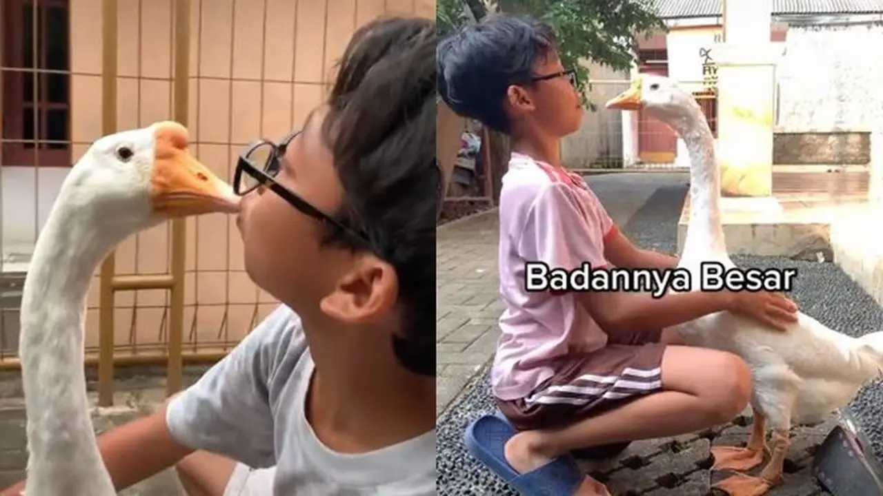 Bersahabat Dengan Angsa, Ini 6 Aksi Naufal dan Mike yang Viral