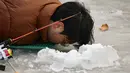 Festival tahunan ini diadakan di Kabupaten Hwacheon, Provinsi Gangwon, sekitar 90 km di timur laut Seoul, Korea Selatan. Tampak dalam foto, seorang pria memancing melalui lubang di sungai yang membeku selama festival tahunan memancing di atas es, Hwacheon, Korea Selatan, pada Sabtu 10 Januari 2026. (Shin Yong-ju/AFP)