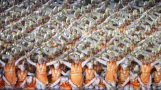 Tarian Saman saat pembukaan Asian Games di SUGBK, Jakarta, Sabtu, (18/8/2018). (Bola.com/Vitalis Yogi Trisna)