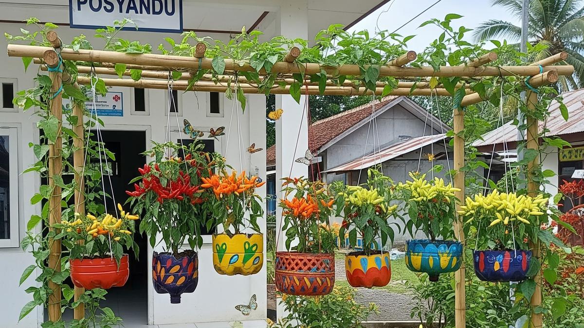 7 Ide Kebun Cabai dari Galon Bekas dan Tali Gantung untuk Ibu-ibu Penggerak Bank Sampah