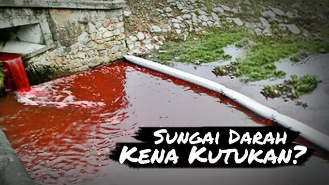 Sungai merah di Myjava | Foto: Dailymail.co.uk