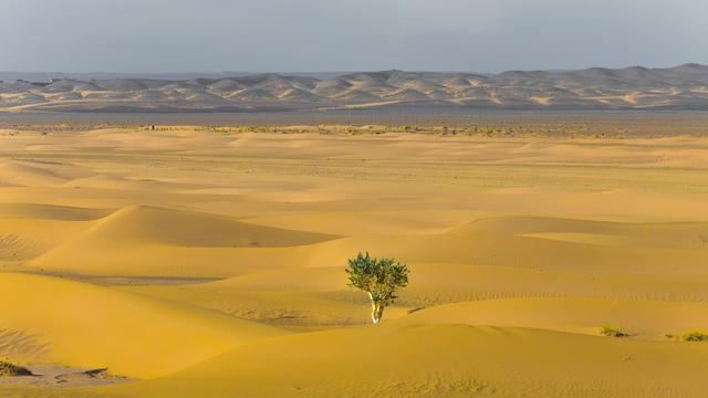 Ilustrasi ketahanan, inspirasi