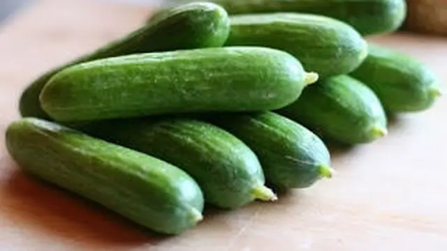 Mentimun. (foto: Pinterest/Zelena Plus).