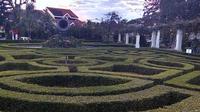 Taman Cerme di Kota Malang, Jawa Timur. Di masa kolonial Belanda taman ini bernama Tjerme Plein (Liputan6.com/Zainul Arifin)