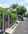 Pohon buah markisa, cocok ditanam dekat pagar rumah. [Gemini AI]