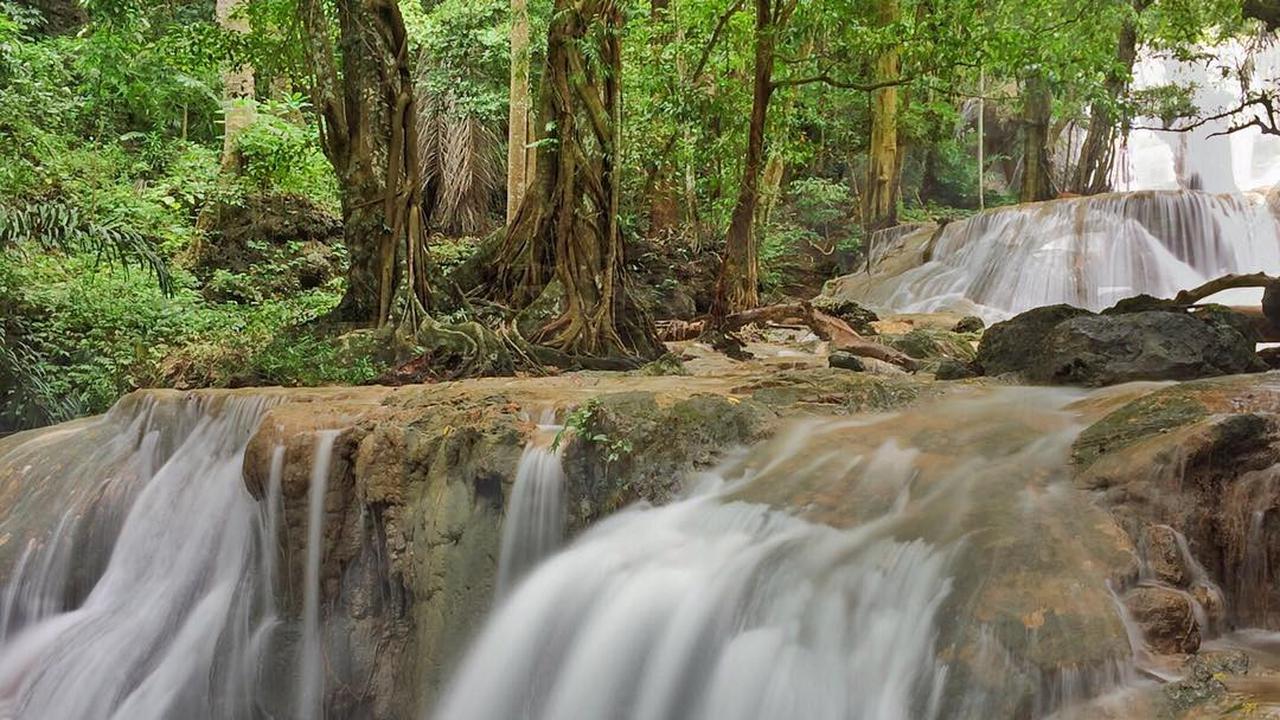 [Bintang] Nusa Tenggara