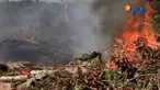 Selain di Ujung Beurasok, Kecamatan Johan Pahlawan, kebakaran hutan dan lahan juga terjadi di enam kecamatan di Aceh.