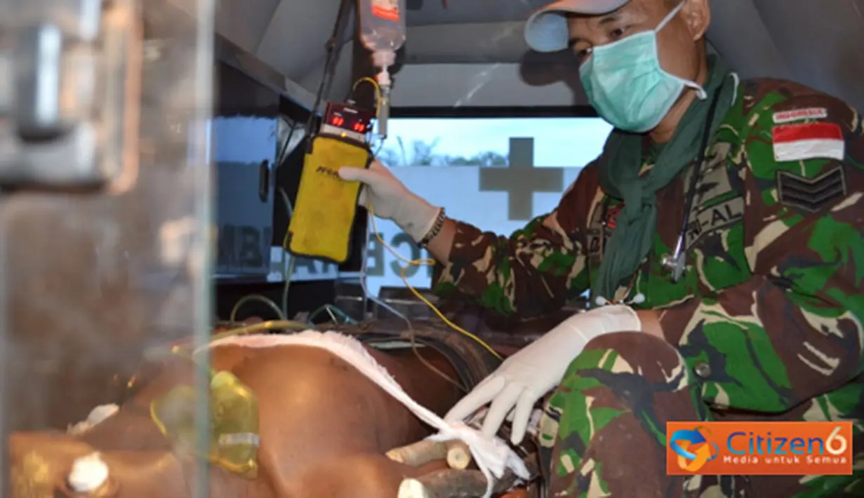 Citizen6, Kongo: Evakuasi masyarakat Kongo ke rumah sakit umum menggunakan ambulan satgas.