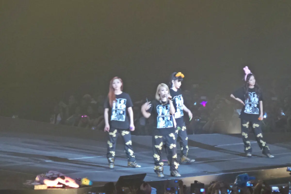 2NE1 Ketagihan Nasi Goreng dan Ingin ke Bali