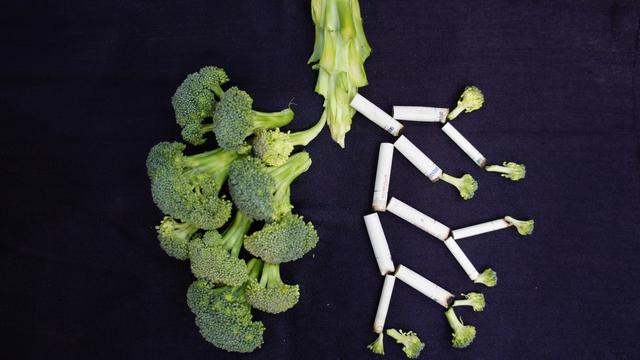 [Fimela] Ilustrasi Paru-paru