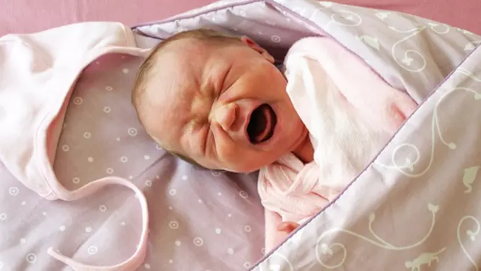 Photo: Copyright Thinkstockphotos.com