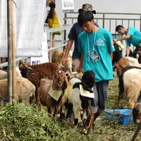 Petugas membawa hewan kurban di Lapangan Masjid Al Azhar, Jakarta, Jumat (1/9). Masjid Al Azhar Jakarta memotong dan mendistribusikan ratusan hewan kurban pada Hari Raya Idul Adha 1438 H. (Liputan6.com/Helmi Fithriansyah)