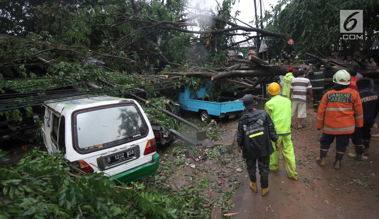 Sejumlah mobil tertimpa pohon akibat Hujan dan Angin di wiliyah Serua, Ciputat, Rabu (12/12). Hujan beserta angin yang mengguyur sejumlah wilayah kota Tangerang Selatan membuat pohon besar tumbang menimpa mobil. (merdeka.com/ arie basuki)