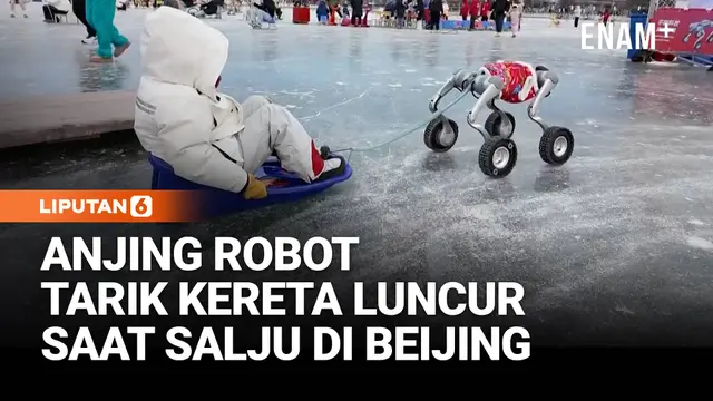Anjing Robot Tarik Kereta Luncur Jadi Atraksi Musim Dingin di Beijing