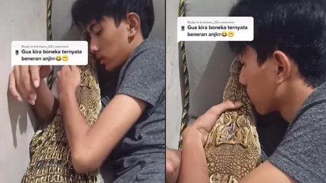 Viral Pria Pelihara Buaya dan Diperlakukan Bak Anak Sendiri, Warganet Kira Boneka