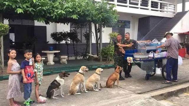 8 Momen Nyeleneh Orang Ajak Anjing Jalan-Jalan Ini Aksinya Kocak