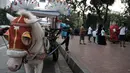 Delman menunggu penumpang di kawasan Monas, Jakarta, Selasa (3/7). Seluruh delman yang berada di kawasan Monas dipindahkan sementara ke Kota Tua dan Ragunan. (Merdeka.com/Iqbal Nugroho)