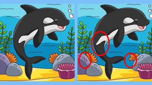 Ilusi Optik Temukan Gambar