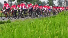 Sejumlah peserta memacu sepedanya melintas di sebelah area persawahan saat mengikuti BTN Tour de Borobudur XVII di Jawa Tengah (12/11). Tema acara ini 'Membelah Keindahan Alam Jawa Tengah'. (Liputan6.com/Gholib)