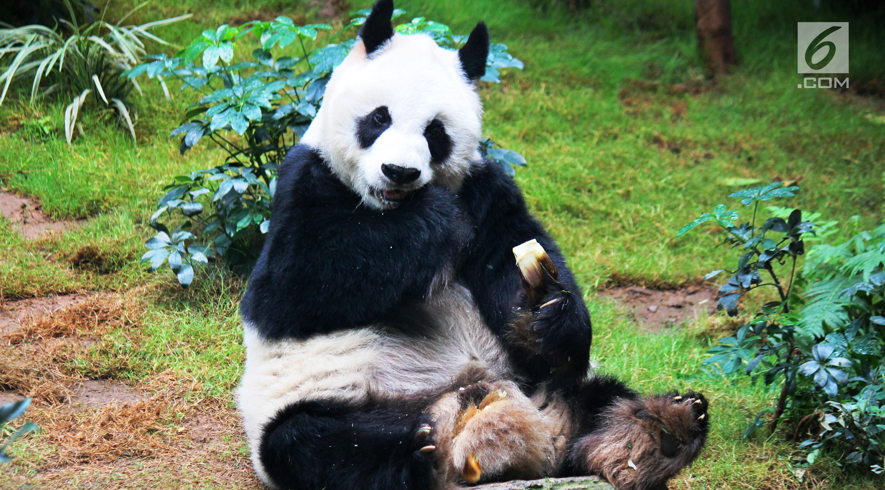 Ocean Park Hong Kong
