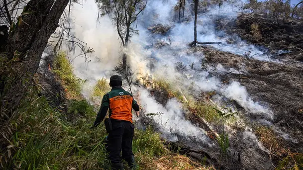 Pemadaman Terus Dilakukan Setelah Karhutla Melanda Gunung Bromo