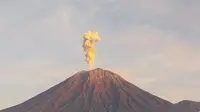 Gunung Semeru erupsi, Tinggi Letusan mencapai 1 kilometer (Istimewa)
