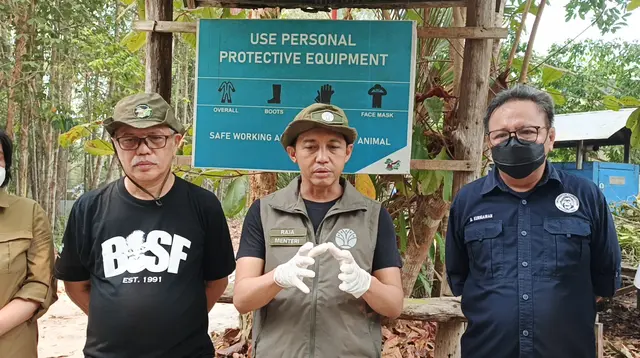 Menhut Minta Tetap Waspada Kebakaran Hutan Meski Titik Panas Menurun