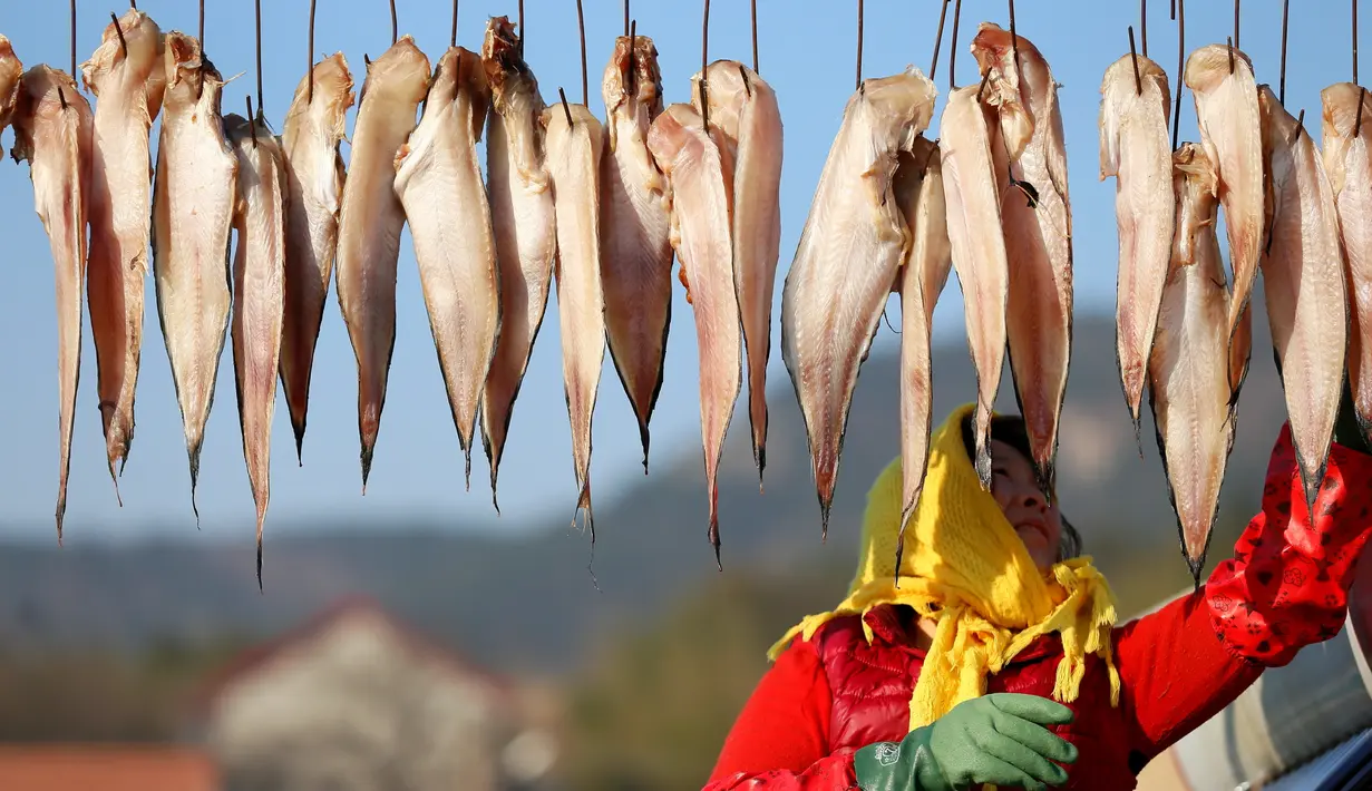 Seorang nelayan menjemur ikan di Desa Duoshi di Distrik Jimo, Qingdao, Provinsi Shandong, China timur, pada 6 Desember 2020. (Xinhua/Liang Xiaopeng)