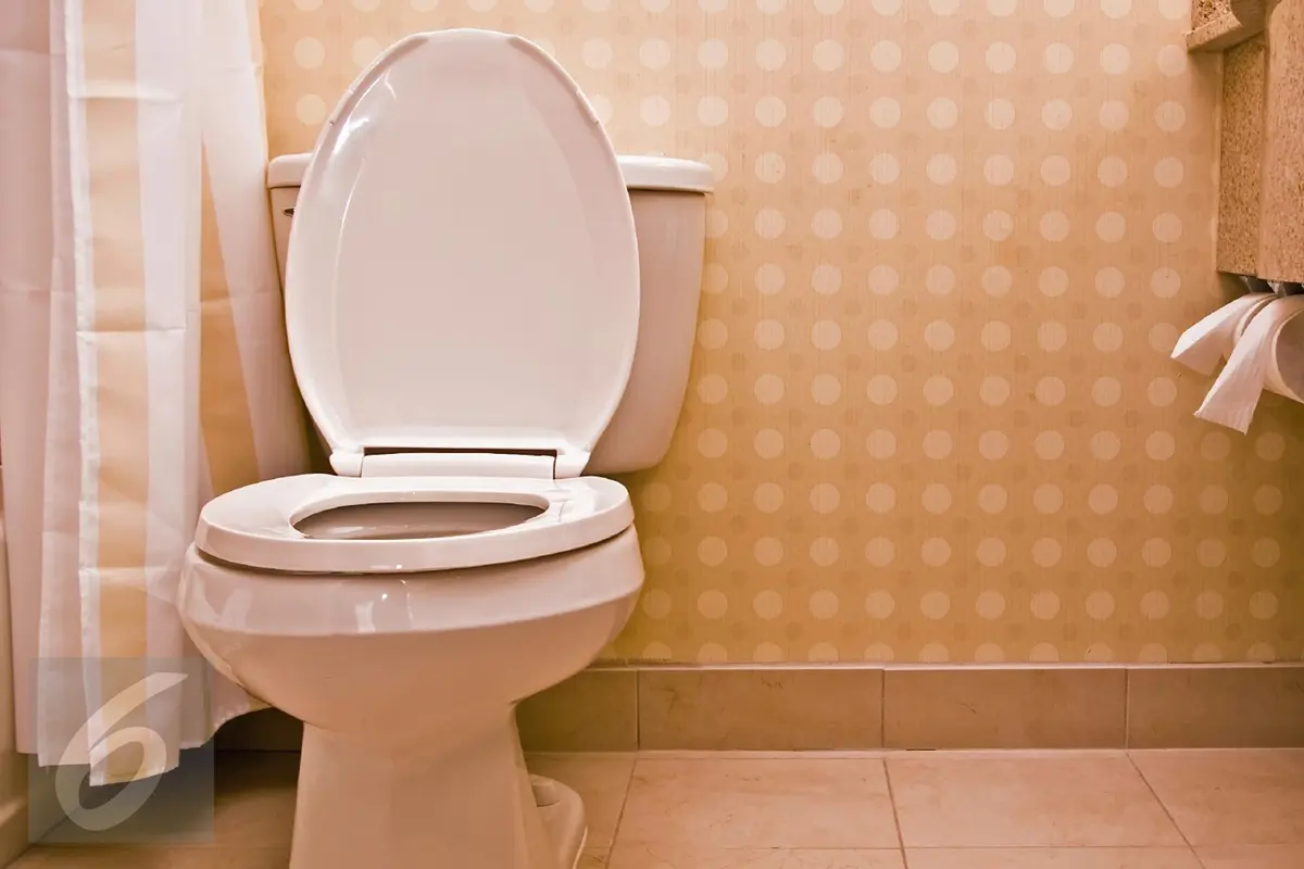 20160215- Ilustrasi Toilet-iStockphoto