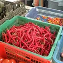 Harga Pangan 12 Oktober 2026: Cabai Rawit Merah dan Daging Sapi Masih Tinggi