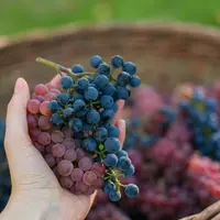 Buah anggur ternyata bisa memberi sejuta manfaat untuk rambut. (Foto: unsplash.com)