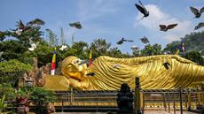 Sejumlah burung merpati terbang di samping patung Buddha raksasa di tempat wisata di Mojokerto Maha Vihara Mojopahit, Mojokerto, Jawa Timur, pada tanggal 15 Mei 2024. (JUNI KRISWANTOAFP)