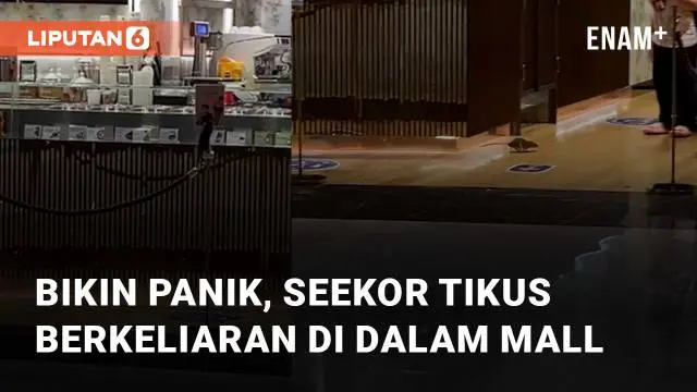 Aksi seekor tikus berkeliaran di dalam Mall mengundang perhatian