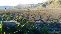 Hamparan salju tipis di Gunung Bromo, Senin pagi 24 Juli 2017 (Liputan6.com / Dian Kurniawan)