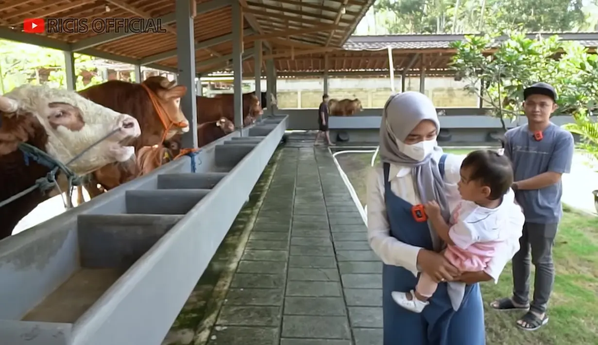 Tidak sendiri, pemeran yang juga Youtuber itu mengajak sang buah hati saat berburu sapi. Ditemani sang pemilik, Ricis gendong putrinya, gendong baby Moana melihat-lihat sapi yang akan dijadikan sebagai hewan kurban. [Youtube/Ricis Official]