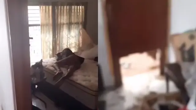 Maling Ketiduran di Kasur Pemilik Rumah