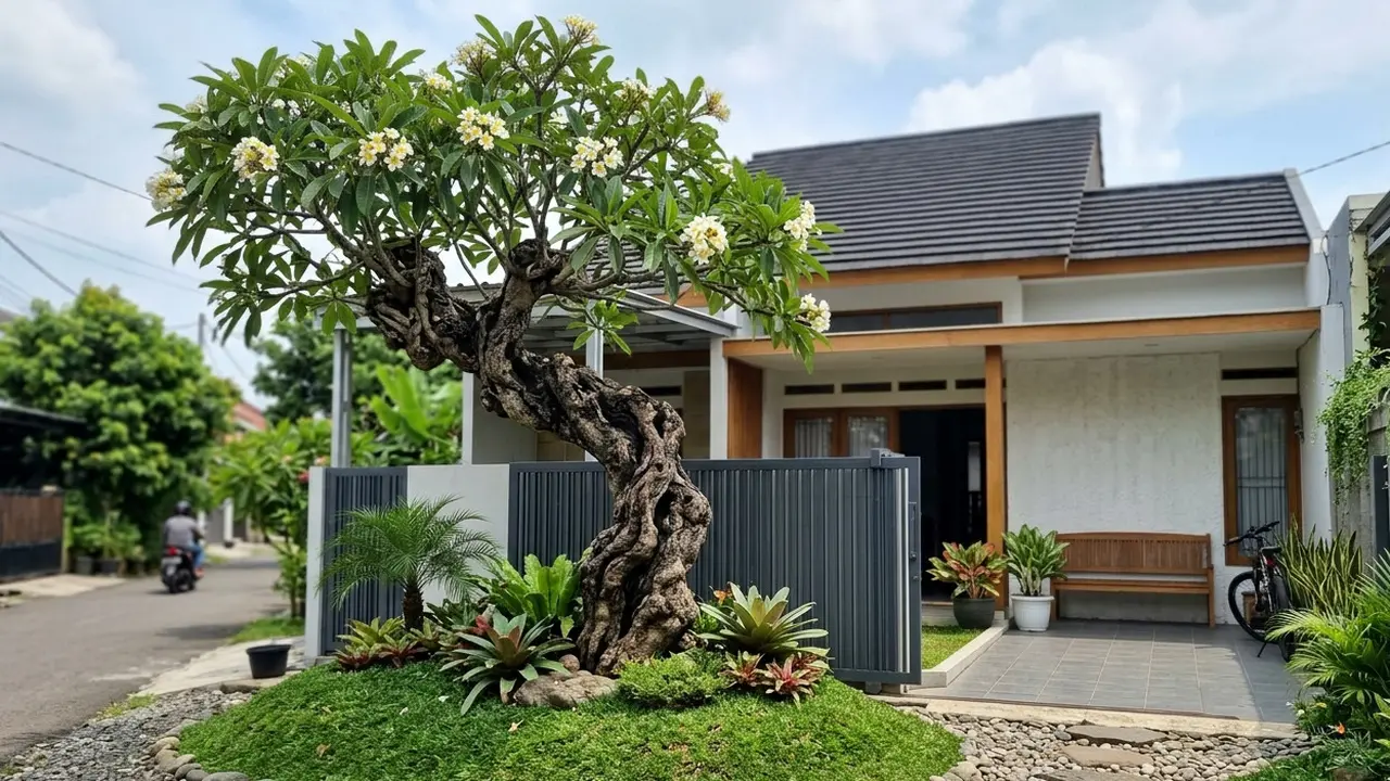 Pohon Estetik untuk Halaman Depan